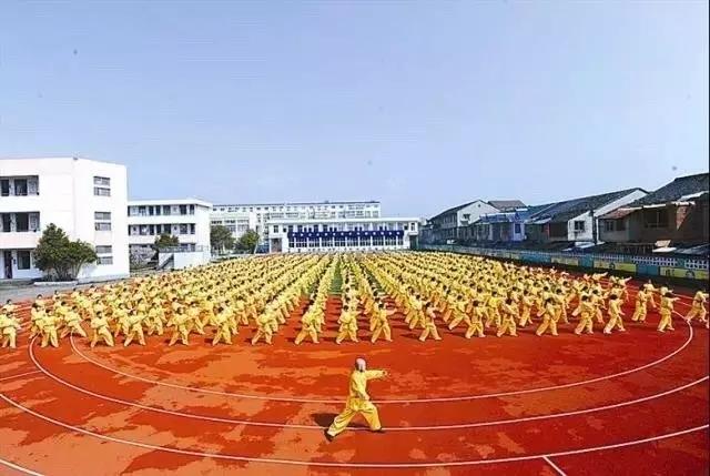 宁波市五乡镇中心小学的内家拳宝峰队又在国际赛场上满载而归啦